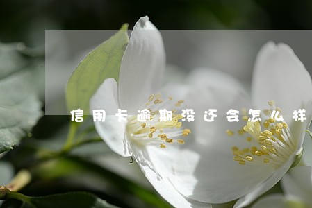 信用卡逾期没还会怎么样呢 信用卡逾期没还会怎么样呢