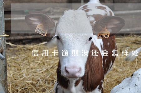 信用卡逾期没还会怎样处理 信用卡逾期没还会怎样处理