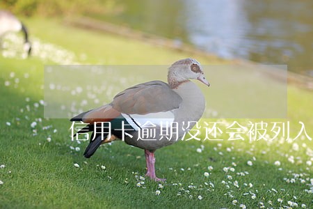 信用卡逾期没还会被列入失信 信用卡逾期没还会被列入失信