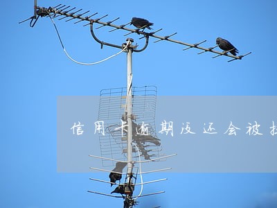 信用卡逾期没还会被拉黑吗 信用卡逾期没还会被拉黑吗