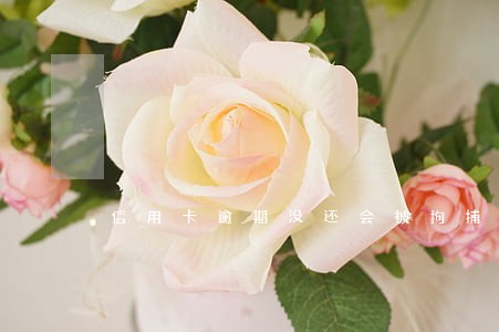 信用卡逾期没还会被拘捕吗 信用卡逾期没还会被拘捕吗