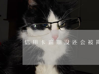 信用卡逾期没还会被拘留吗 信用卡逾期没还会被拘留吗