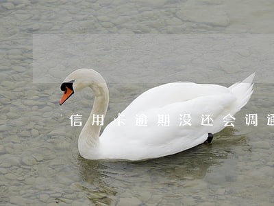 信用卡逾期没还会调通话记录吗