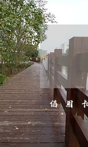信用卡逾期没还利息需要还吗