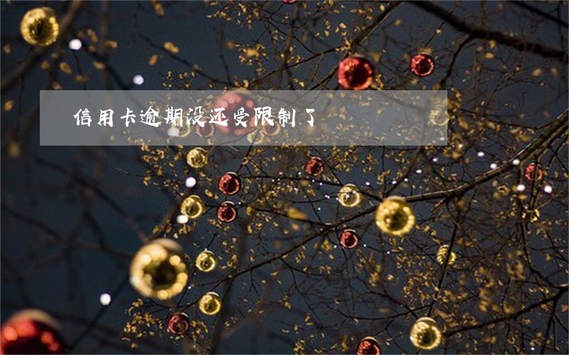 信用卡逾期没还受限制了 信用卡逾期没还受限制了