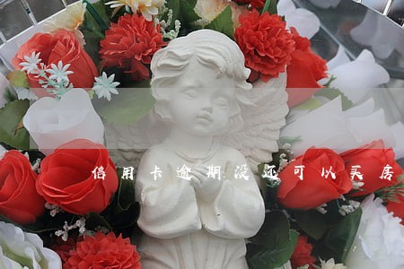 信用卡逾期没还可以买房吗 信用卡逾期没还可以买房吗