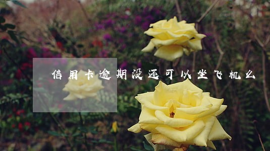 信用卡逾期没还可以坐飞机么 信用卡逾期没还可以坐飞机么