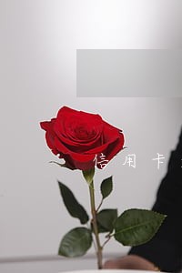 信用卡逾期没还可以迁出户口嘛 信用卡逾期没还可以迁出户口嘛