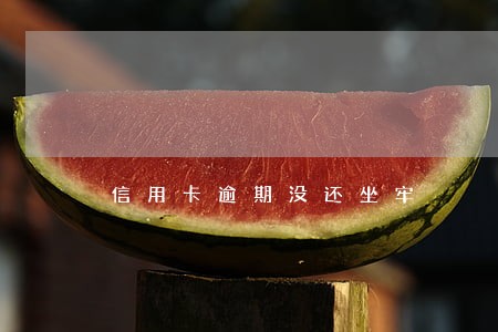 信用卡逾期没还坐牢