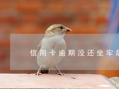 信用卡逾期没还坐牢后还要还吗 信用卡逾期没还坐牢后还要还吗