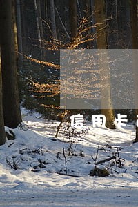 信用卡逾期没还外访真的假的 信用卡逾期没还外访真的假的