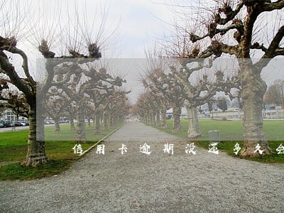 信用卡逾期没还多久会黑 信用卡逾期没还多久会黑