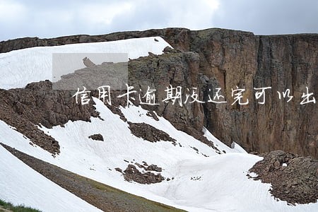 信用卡逾期没还完可以出国吗