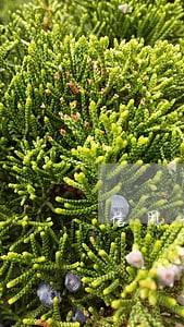 信用卡逾期没还怎么算 信用卡逾期没还怎么算