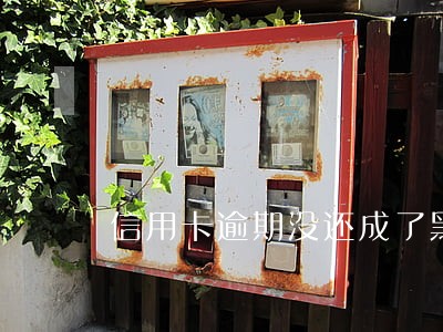 信用卡逾期没还成了黑户怎么办 信用卡逾期没还成了黑户怎么办