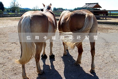 信用卡逾期没还报警 信用卡逾期没还报警