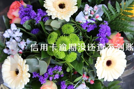 信用卡逾期没还查不到账单了 信用卡逾期没还查不到账单了