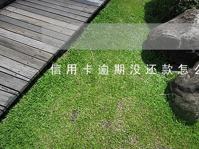 信用卡逾期没还款怎么上岸 信用卡逾期没还款怎么上岸