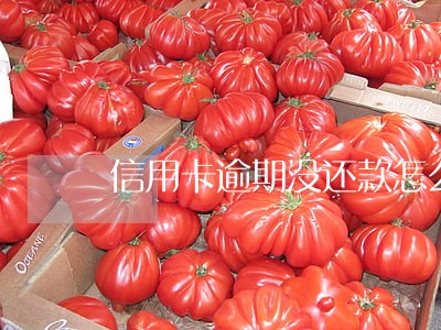 信用卡逾期没还款怎么找姐姐