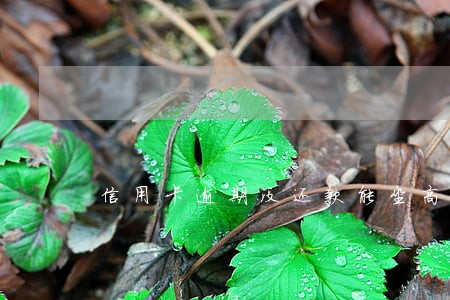 信用卡逾期没还款能坐高铁吗 信用卡逾期没还款能坐高铁吗