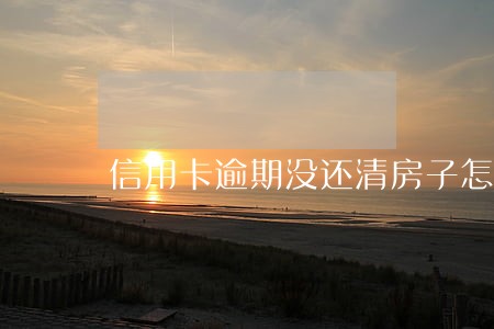 信用卡逾期没还清房子怎么处理 信用卡逾期没还清房子怎么处理