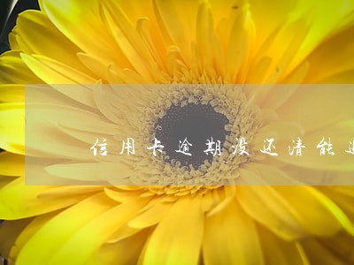 信用卡逾期没还清能退息吗