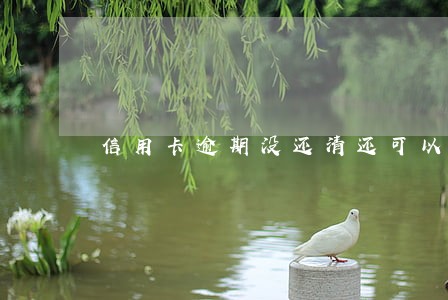 信用卡逾期没还清还可以办吗 信用卡逾期没还清还可以办吗