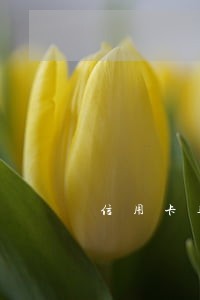 信用卡逾期没还清还能开卡吗 信用卡逾期没还清还能开卡吗