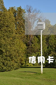 信用卡逾期没还清还能按揭买车吗 信用卡逾期没还清还能按揭买车吗