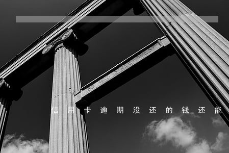 信用卡逾期没还的钱还能用吗 信用卡逾期没还的钱还能用吗