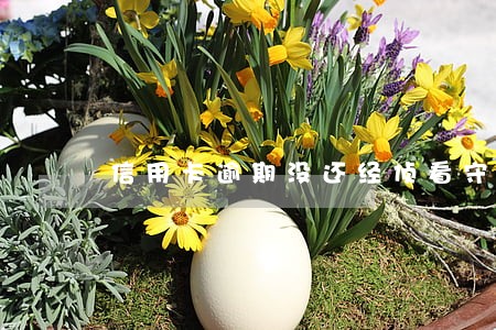 信用卡逾期没还经侦看守所 信用卡逾期没还经侦看守所