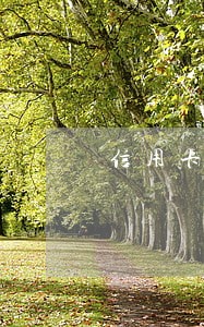信用卡逾期没还能不能分次还