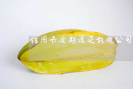 信用卡逾期没还能做公司监事吗 信用卡逾期没还能做公司监事吗