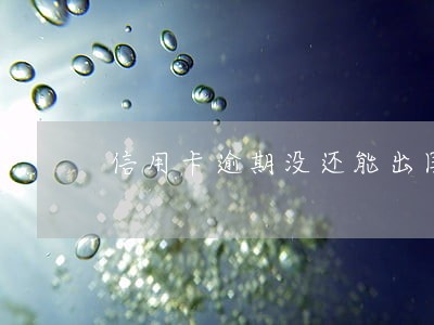 信用卡逾期没还能出国吗