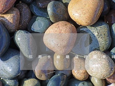 信用卡逾期没还能开网店吗