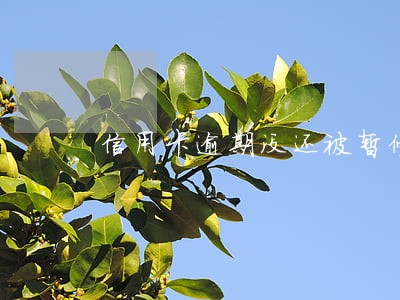 信用卡逾期没还被暂停使用