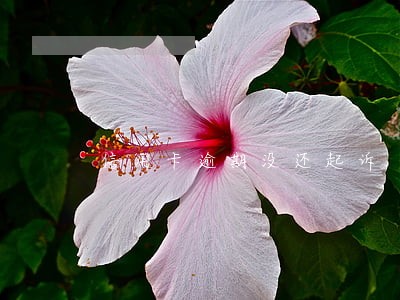 信用卡逾期没还起诉 信用卡逾期没还起诉