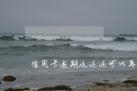 信用卡逾期没还还可以再借网贷吗 信用卡逾期没还还可以再借网贷吗