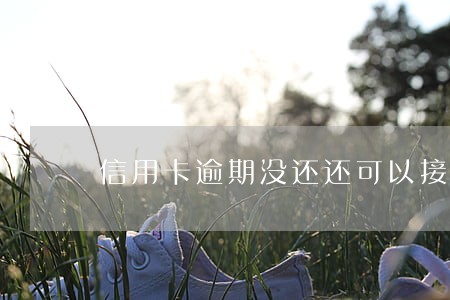 信用卡逾期没还还可以接着用吗 信用卡逾期没还还可以接着用吗