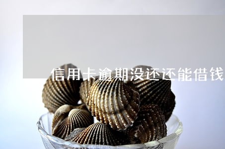 信用卡逾期没还还能借钱吗 信用卡逾期没还还能借钱吗
