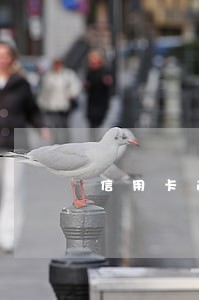 信用卡逾期没还还能办吗
