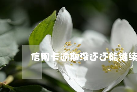 信用卡逾期没还还能继续刷吗 信用卡逾期没还还能继续刷吗