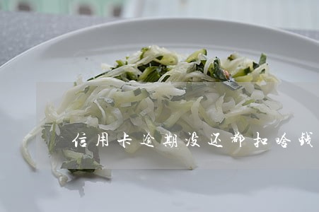 信用卡逾期没还都扣啥钱 信用卡逾期没还都扣啥钱