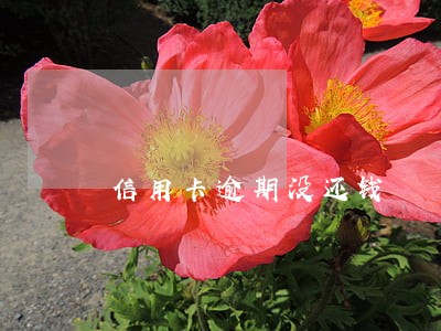 信用卡逾期没还钱 信用卡逾期没还钱