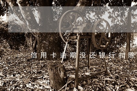 信用卡逾期没还银行扣除卡的收入 信用卡逾期没还银行扣除卡的收入