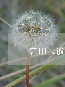 信用卡逾期没逾期能查询吗 信用卡逾期没逾期能查询吗