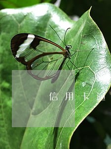 信用卡逾期没钱了 信用卡逾期没钱了