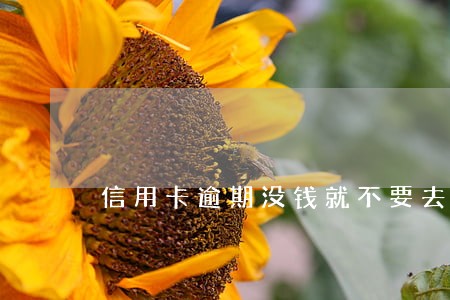 信用卡逾期没钱就不要去协商是吗 信用卡逾期没钱就不要去协商是吗
