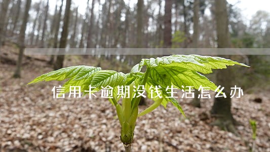 信用卡逾期没钱生活怎么办 信用卡逾期没钱生活怎么办