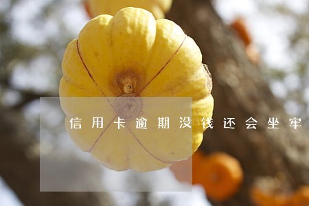 信用卡逾期没钱还会坐牢么 信用卡逾期没钱还会坐牢么